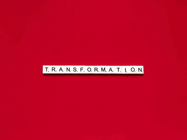 Comment transformer un abri de jardin en un atelier d'art créatif?